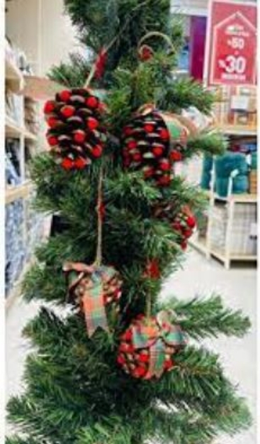 Picture of FC-YILSONU