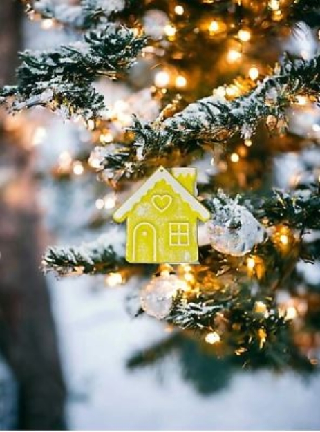 Picture of RBT-YILBASI EV SUSU-S- 60998