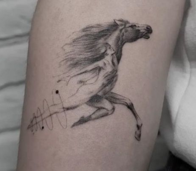 Picture of HKO Özellik Eşleme Varyantsız